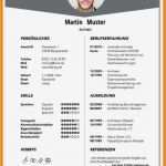 Professioneller Lebenslauf Vorlage Word Fabelhaft 6 Professioneller Lebenslauf Vorlage Kostenlos