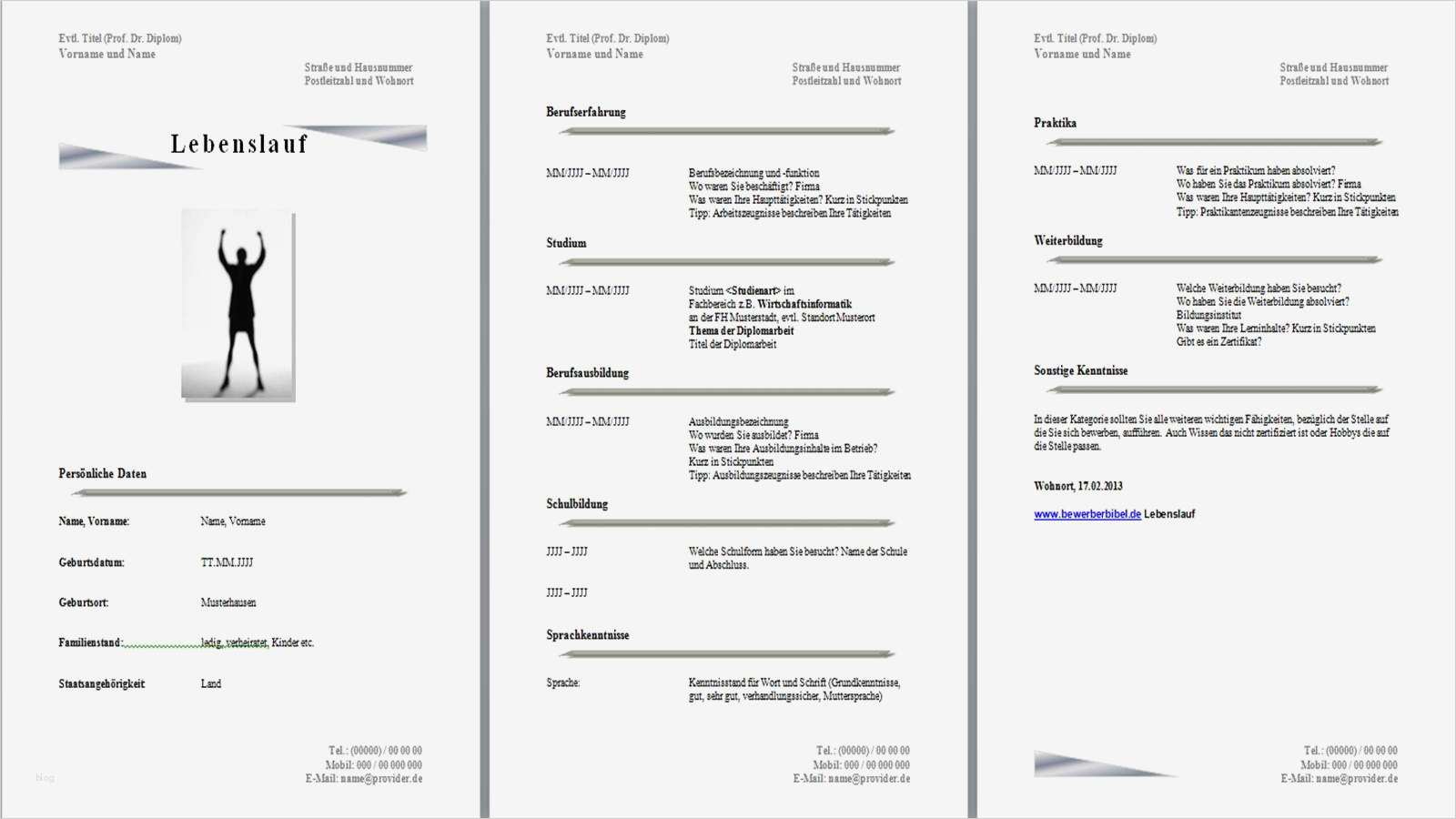 Professioneller Lebenslauf Vorlage Word Neu Professioneller Lebenslauf Vorlage Kostenlos Lebenslauf