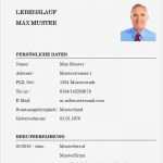 Professioneller Lebenslauf Vorlage Word Schön Niedlich Professionelle Lebenslaufvorlagen Ideen Ideen