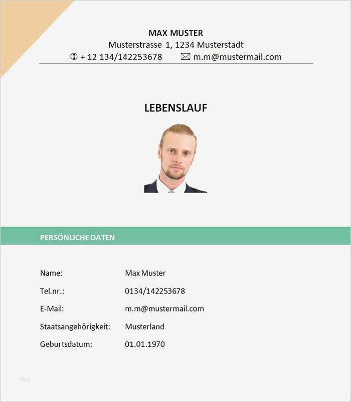 Professioneller Lebenslauf Vorlage Wunderbar Professioneller Lebenslauf Muster Lebenslauf Beispiel