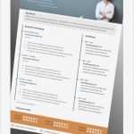 Profi Lebenslauf Vorlage Beste Profi Lebenslauf Vorlagen sommeraktion 2014 top Job