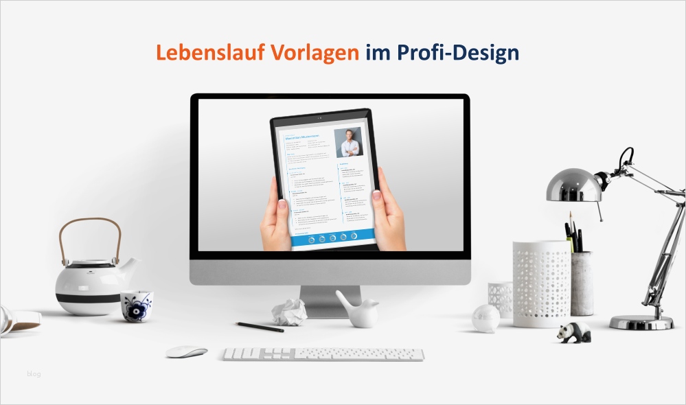 Profi Lebenslauf Vorlage Genial Profi Lebenslauf Vorlagen Für FÜhrungskrÄfte Zum Downloaden