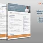Profi Lebenslauf Vorlage Gut Profi Lebenslauf Vorlage "anton" Download Für