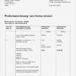 Proforma Rechnung Englisch Vorlage Hübsch Proformarechnung Bedeutung Für Zoll Und Außenhandel