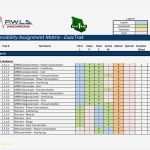 Projekt Matrix Vorlage Inspiration Großartig Projekt Matrix Vorlage Excel Ideen Entry Level