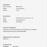 Projektantrag Vorlage Schönste It Business Manager Projektantrag Operative Professional