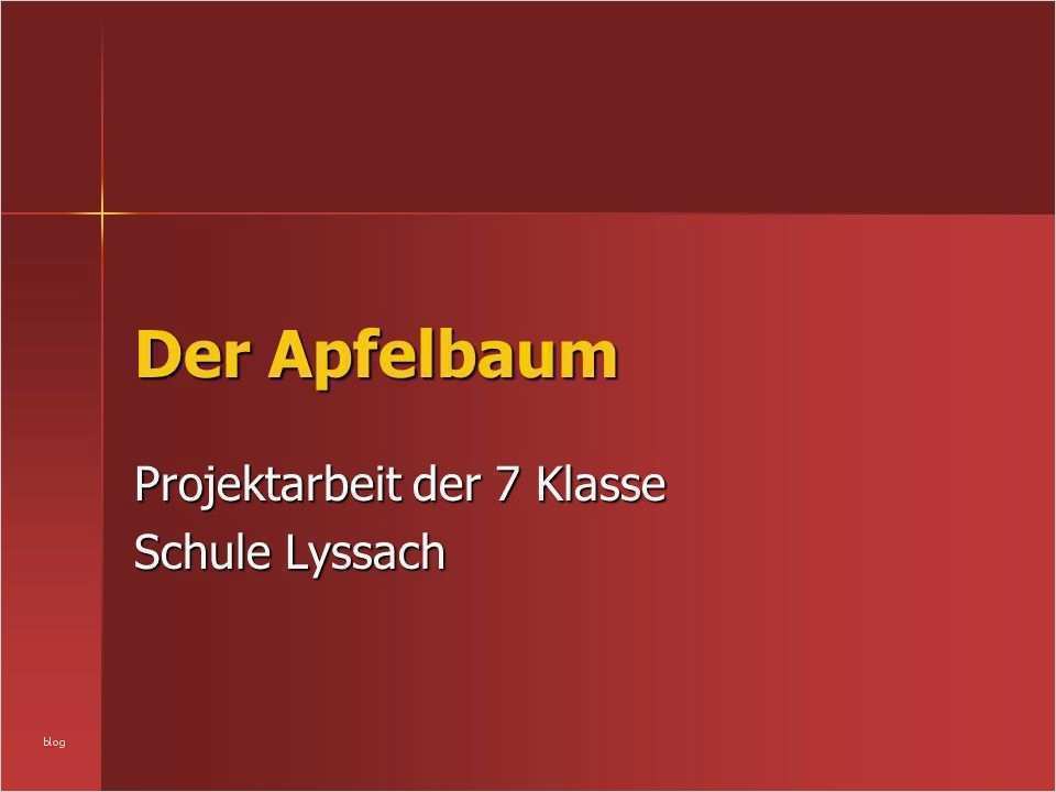 Projektarbeit Vorlage Schule Bewundernswert Projektarbeit Der 7 Klasse Schule Lyssach Ppt Video