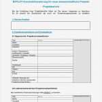 Projektbericht Vorlage Beste 7 Free Magazines From Baylat org