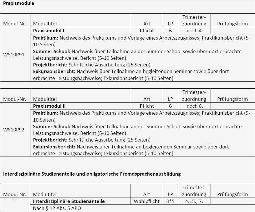 Projektbericht Vorlage Einzigartig Ziemlich Projektbericht Vorlage Bilder