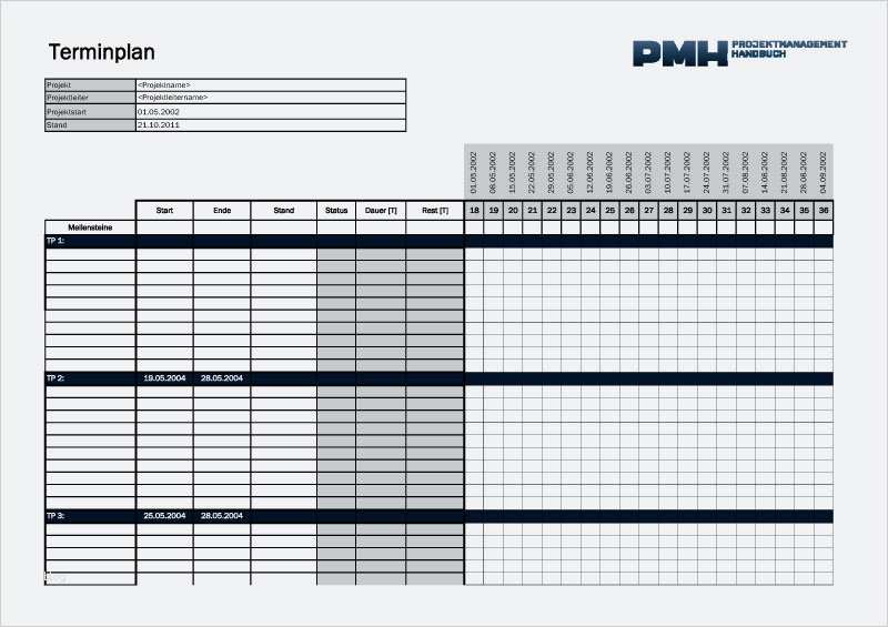 Projektbeschreibung Vorlage Erstaunlich Download Templates