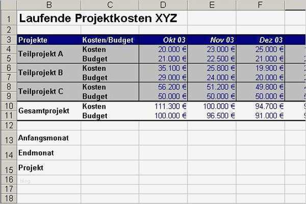 Projektbeschreibung Vorlage Luxus Großartig Bud Kosten Vorlage Zeitgenössisch