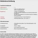 Projektdokumentation Vorlage Word Schönste Wunderbar Projektformular Vorlage Bilder Entry Level