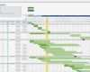 Projektmanagement Excel Vorlage Inspiration Projektplan Excel Download