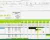 Projektmanagement Excel Vorlage Wunderbar Projektplan Excel