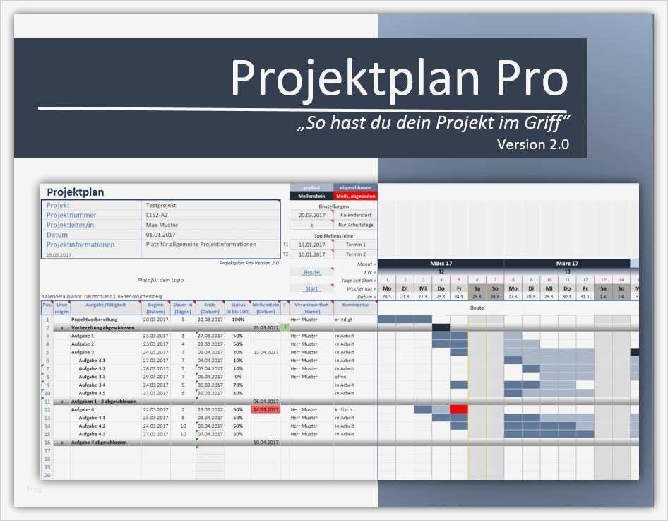 Projektplan softwareentwicklung Vorlage Beste Projektplan Pro