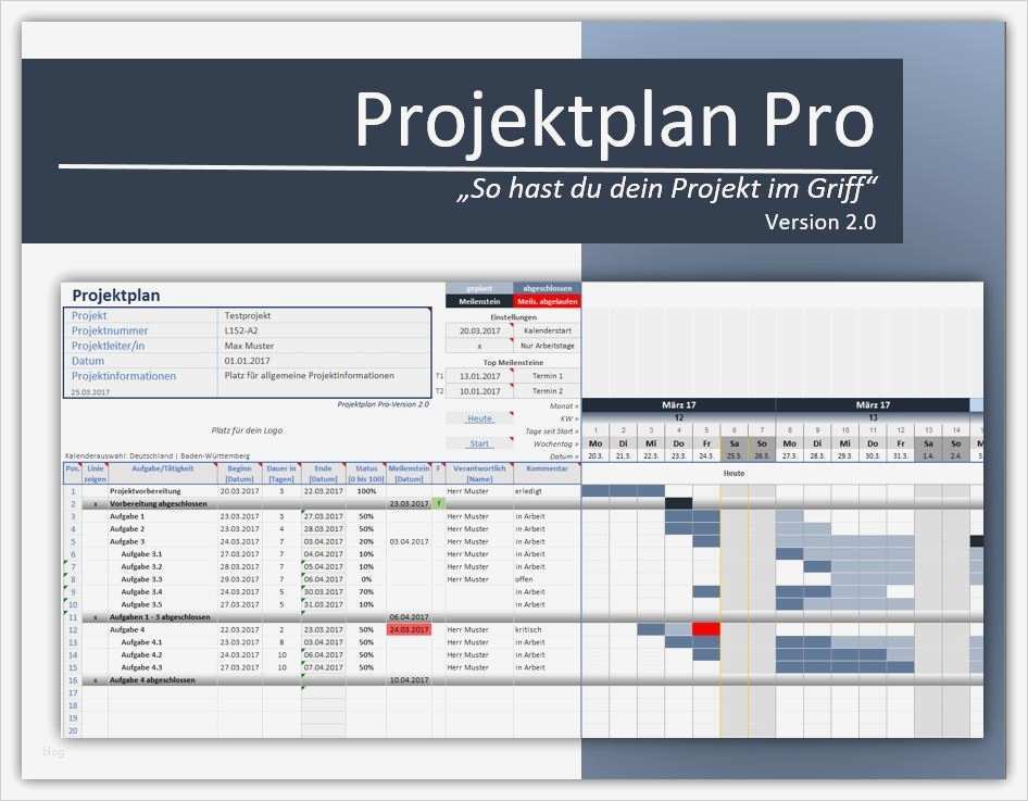 Projektplan Vorlage Excel Gut Projektplan Pro