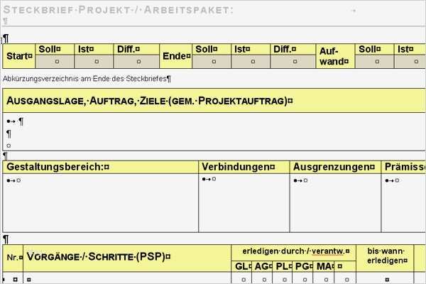 Projektsteckbrief Vorlage Word Erstaunlich Word