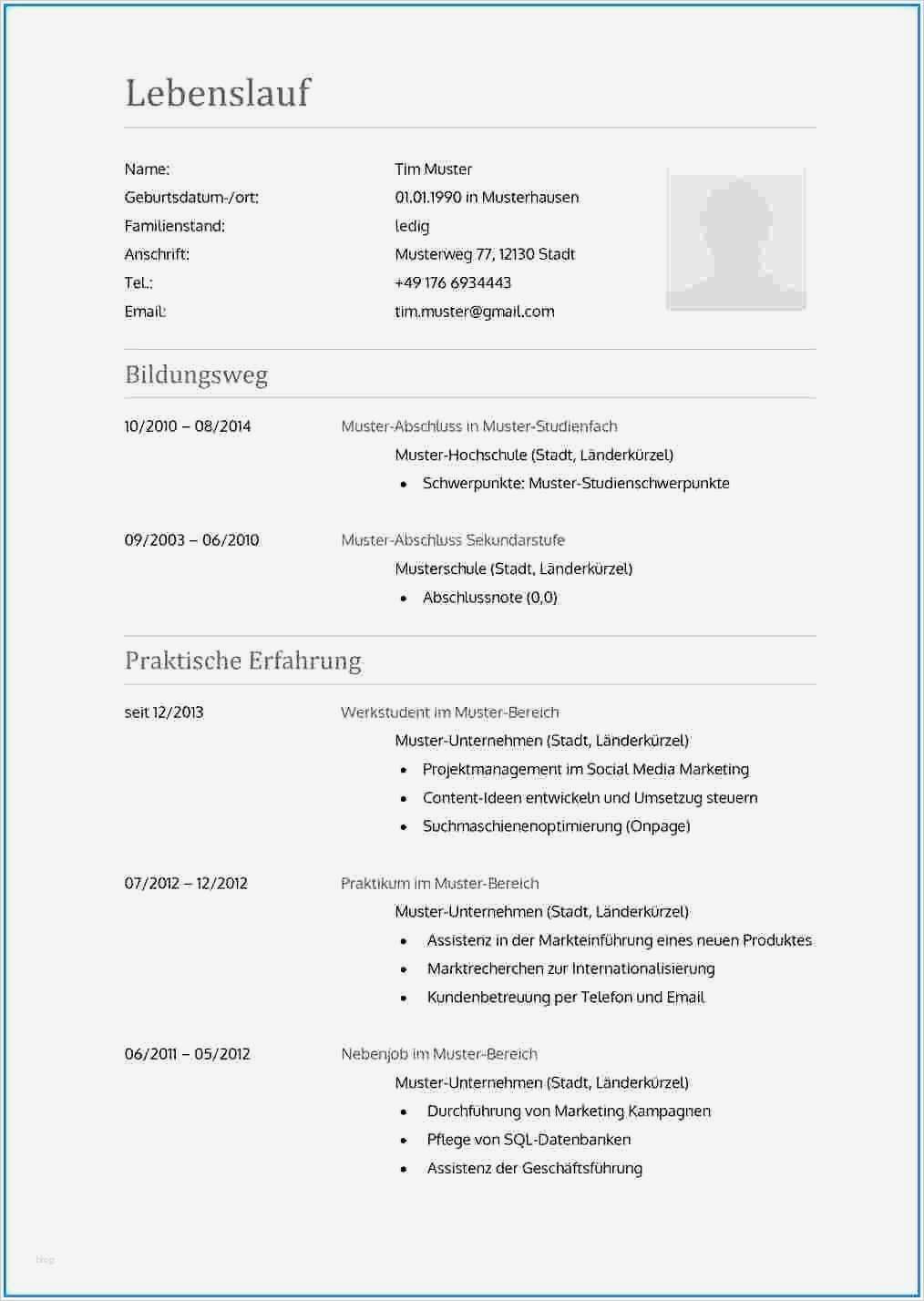 Projektsteckbrief Vorlage Word Gut 17 Lebenslauf 2016 Schüler