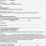 Prokura Erteilen Vorlage Bewundernswert Groß Haftung Vertragsvorlage Zeitgenössisch Bilder Für