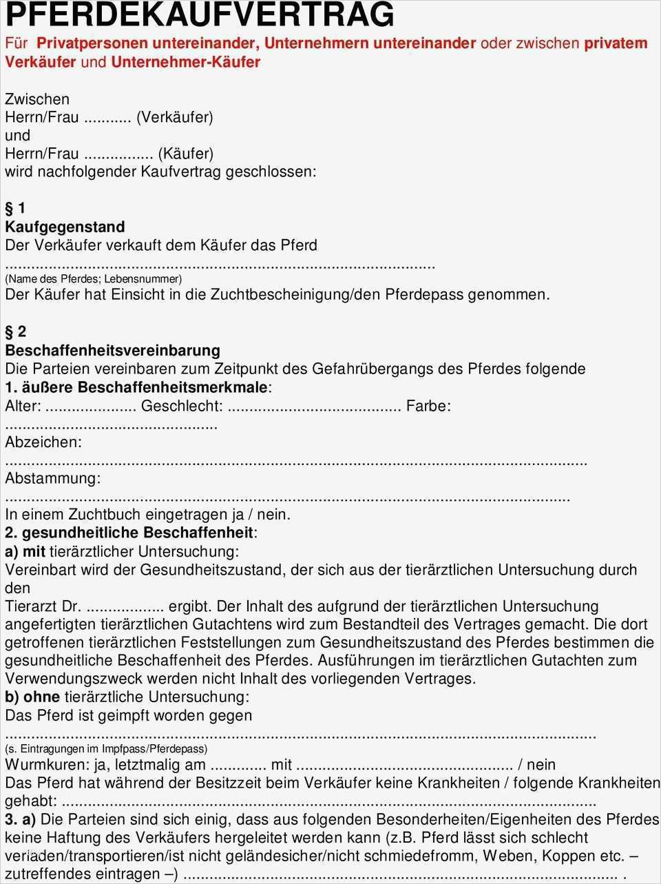 Prokura Erteilen Vorlage Bewundernswert Groß Haftung Vertragsvorlage Zeitgenössisch Bilder Für