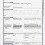 Prüfprotokoll Vde 0701 Vorlage Wunderbar Prüfprotokoll Vde 0113 Vordruck – Auto Motor Wartung