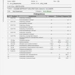 Prüfprotokoll Vorlage Excel Hübsch Dguv V3 Bgv A3 Prüfprotokoll &amp; Dokumentation