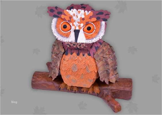 Quilling Vorlagen Eule Beste Eule Basteln so Geht’s