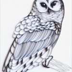 Quilling Vorlagen Eule Gut the Barred Owl Unique Paper Quilled Wall Art for Home