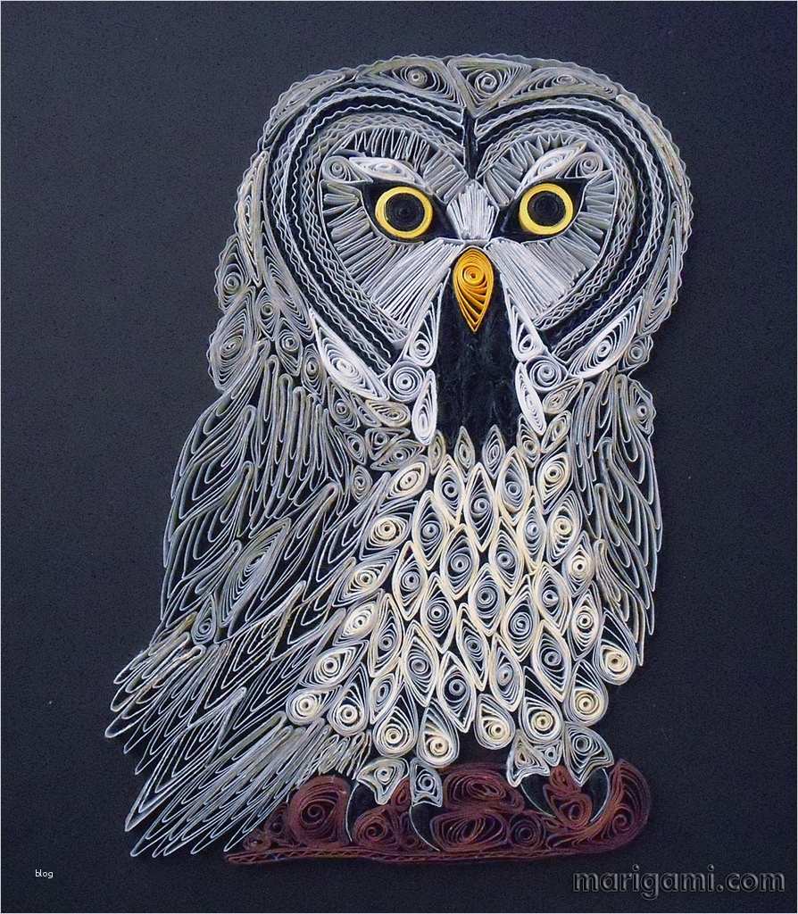 Quilling Vorlagen Eule Wunderbar the World S Best S Of Owl and Quilling Flickr Hive Mind