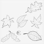 Quilling Vorlagen Zum Ausdrucken Bewundernswert Fensterbilder Für Den Herbst Basteln 25 Ideen Und Vorlagen