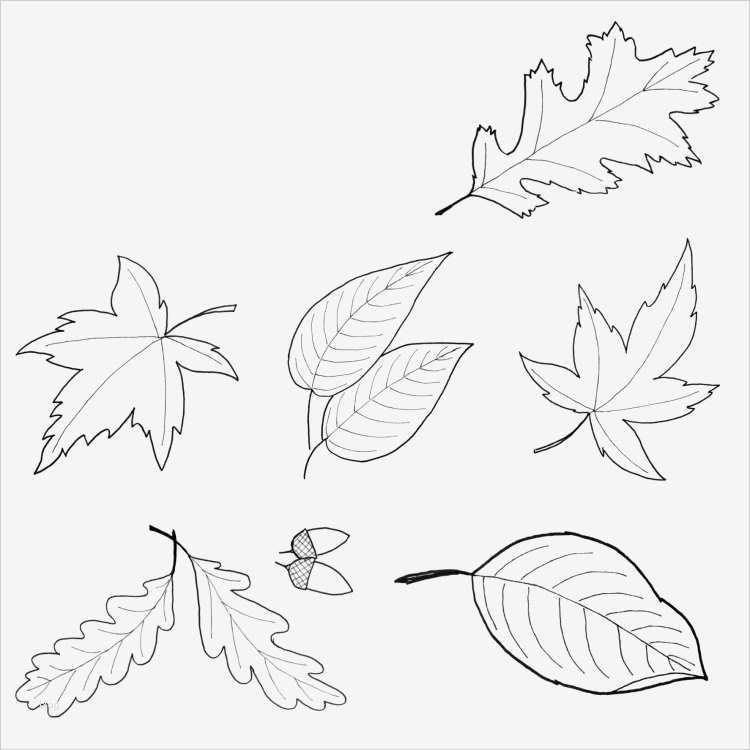 Quilling Vorlagen Zum Ausdrucken Bewundernswert Fensterbilder Für Den Herbst Basteln 25 Ideen Und Vorlagen