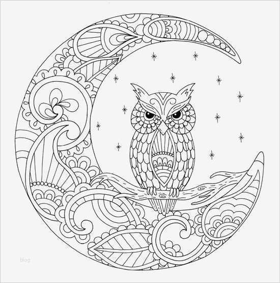 Quilling Vorlagen Zum Ausdrucken Erstaunlich Pin Von sophie Auf Coloring Pages Pinterest