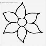 Quilling Vorlagen Zum Ausdrucken Schön 60 Best Images About Blumen Vorlagen On Pinterest