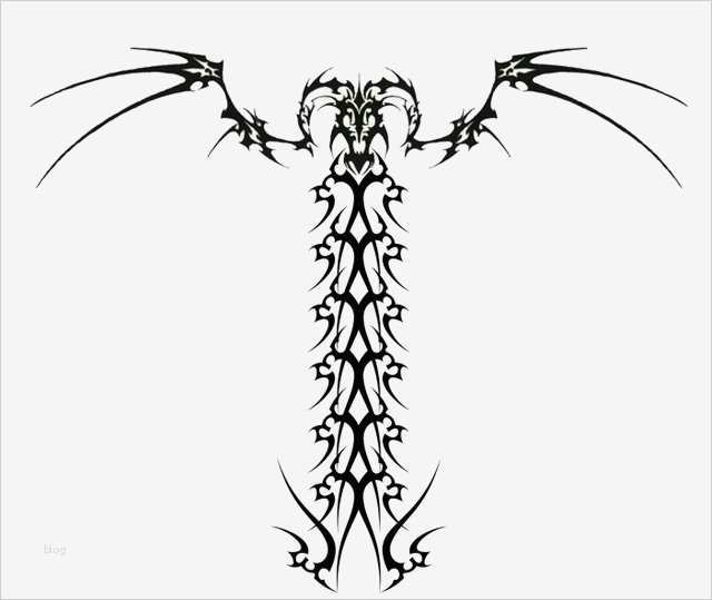 Radio Homepage Vorlagen Hübsch Drachen Tattoo Vorlagen
