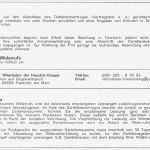 Ratenplan Vorlage Schön Großartig Darlehensvertrag form Beispiel Galerie Bilder