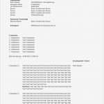 Rauchmelder Protokoll Vorlage Neu Groß Protokollvorlage Galerie Entry Level Resume