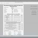 Rauchmelder Protokoll Vorlage Wunderbar Wunderbar Inspektionsblatt Vorlage Excel Bilder Entry
