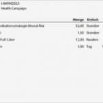 Rechnung Freiberufler Vorlage Wunderbar Musterrechnung Freiberufler Kostenlos Musterrechnung