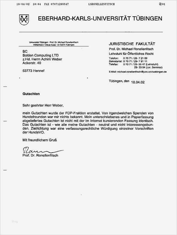 Rechnung Schreiben Als Privatperson Vorlage Angenehm Newsletter Von Maulkorbzwang Und Den Dogangels