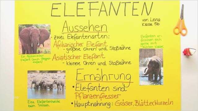 Referat Vorlage Grundschule 2 Klasse Haustiere Beste Plakat Gestalten – In 6 Minuten Zum Perfekten Ergebnis