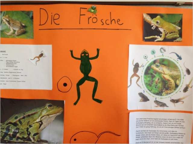 Referat Vorlage Grundschule 2 Klasse Haustiere Beste Stadt Lichtenfels Hsu Referate In Der 4 Klasse