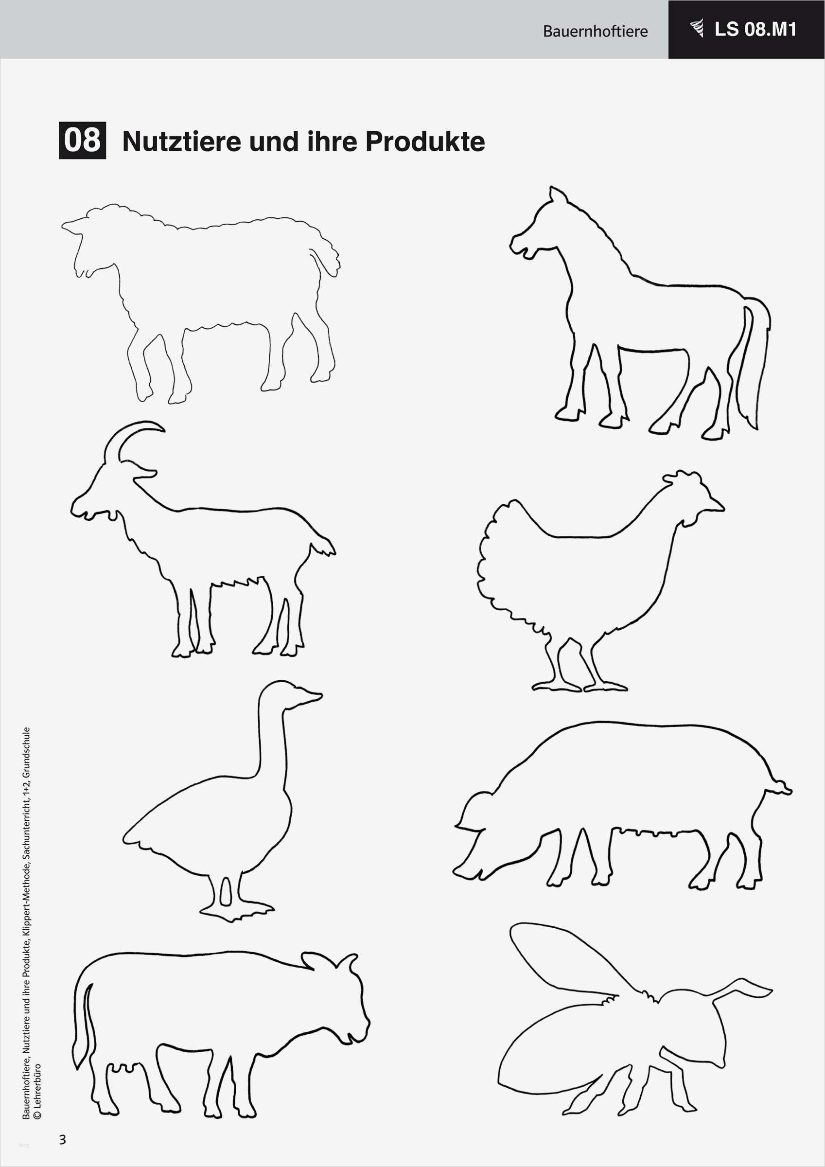 Referat Vorlage Grundschule 2 Klasse Haustiere Genial Sachunterricht · Arbeitsblätter · Grundschule · Lehrerbüro