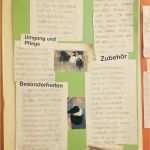 Referat Vorlage Grundschule 2 Klasse Haustiere Gut Das thema Haustiere Im Sachunterricht Der 2 Klassen