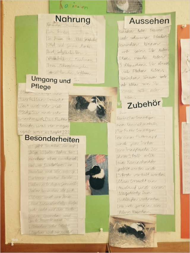 Referat Vorlage Grundschule 2 Klasse Haustiere Gut Das thema Haustiere Im Sachunterricht Der 2 Klassen