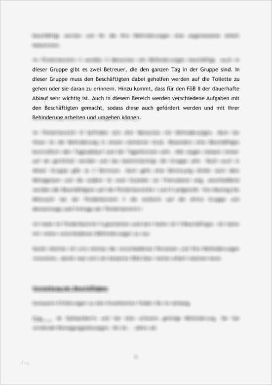 Reflexion Vorlage Fabelhaft Praktikumsbericht soziale Arbeit In Einer