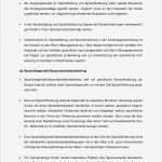 Reflexion Vorlage Süß Biss Expertise Pdf