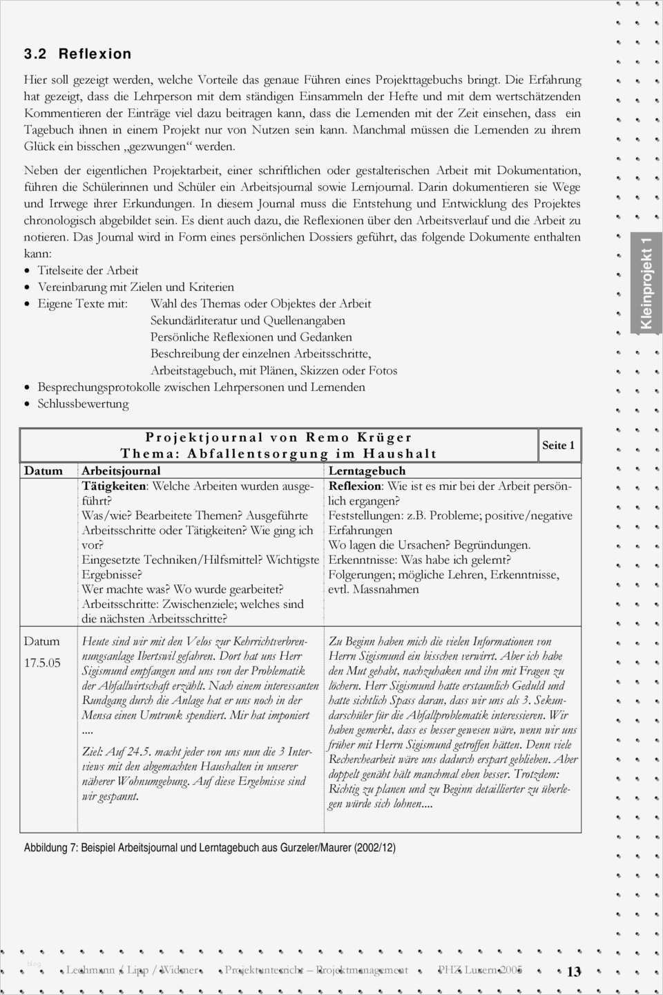 Reflexion Vorlage Süß Projektunterricht Projektmanagement Pdf
