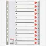 Registerblatt Vorlage Schön Przekładki Esselte Plastikowe Szare A4 Pp Hurtownia