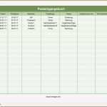 Reisekostenabrechnung Vorlage Finanzamt Großartig Wunderbar Monatliche Gehaltsabrechnungsvorlage Fotos