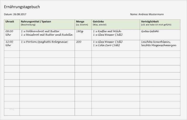 Reisetagebuch Vorlage Angenehm Berühmt Reisetagebuch Vorlage Bilder Beispiel